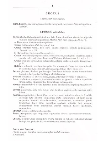 Centuria plantarum rariorum Russiae meridionalis Ф.К. Биберштейна глазами молодых исследователей "Си
