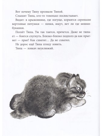 Почему Тюпа не ловит птиц.