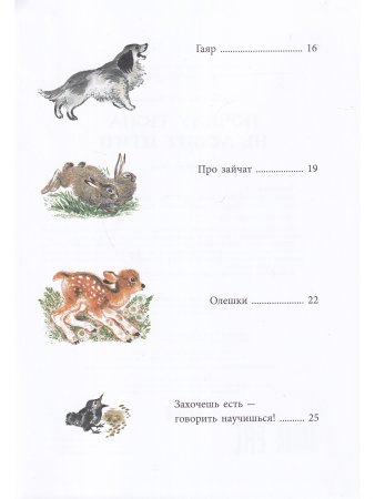 Почему Тюпа не ловит птиц.