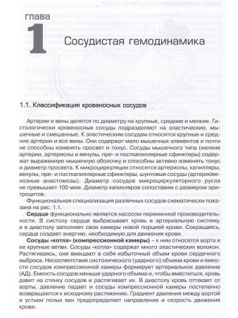 Основы ультразвукового исследования сосудов