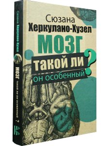 Мозг.Такой ли он особенный?