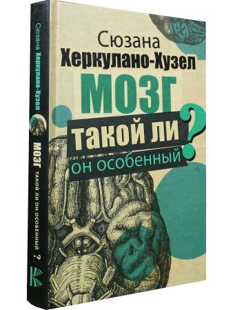 Мозг.Такой ли он особенный?