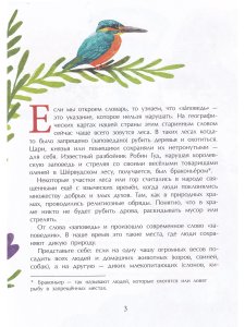 Заповедники. Дом для дикой природы