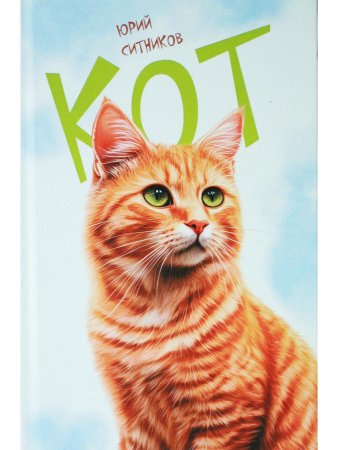 Кот