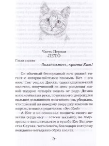 Кот