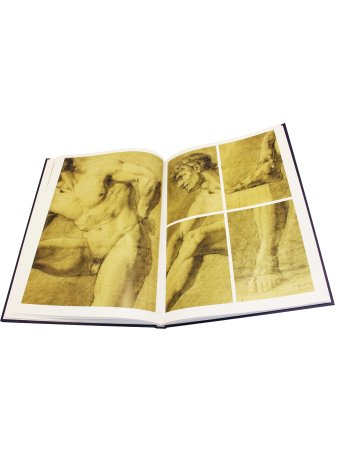 Образцы для копирования. Фигура (на 2-х языках)