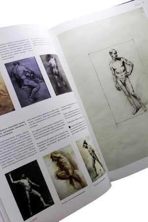 Основы рисунка. Учебное пособие.